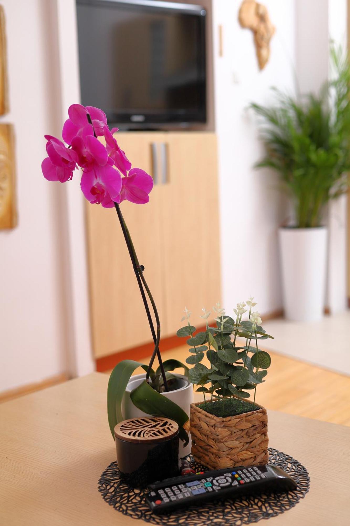 Apartament Sloneczny 5 Ополе Екстер'єр фото